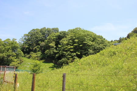 茨木箕面丘陵線を府道1号線下面より見上げる。