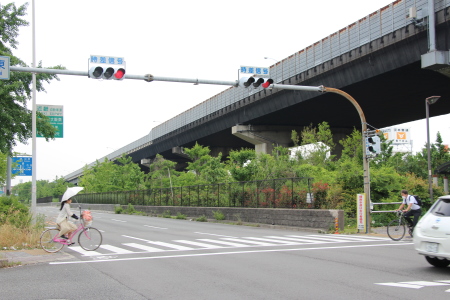 車庫用地としても考えられる緑地帯