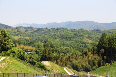 東センター駅方面を見る。