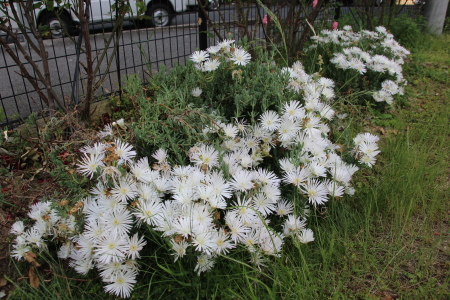 公園内の歌壇