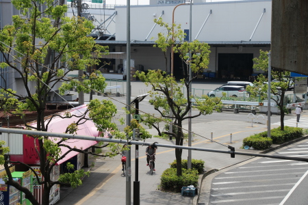 拡幅された歩道部分