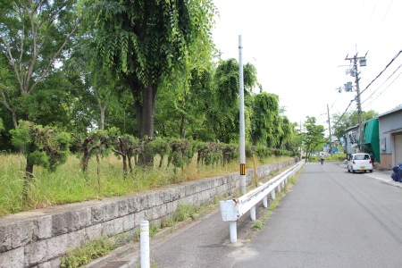 左手には公園が整備されている