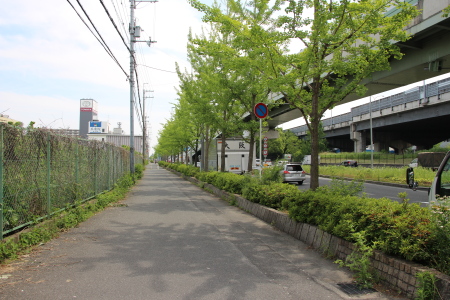 府道2号沿いの歩道