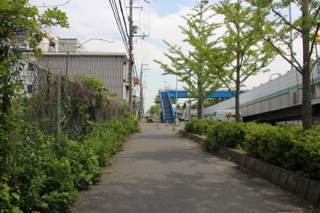 正面に歩道橋が見えてきた