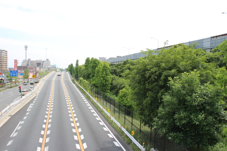 瓜生堂駅まで続く緑地帯