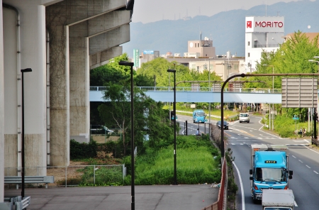 大阪モノレール久宝寺口駅付近の緑地帯