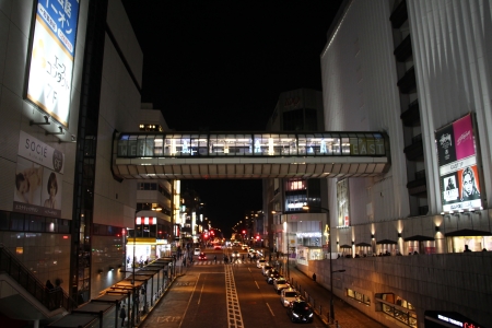 夜のクリスタルブリッジの様子