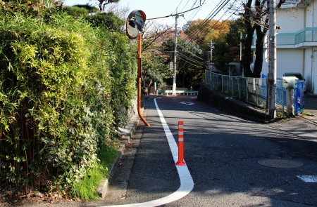 芹ヶ谷公園区画が見えてきました。