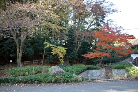 芹ヶ谷公園中央広場より見た多摩モノレール町田駅方向