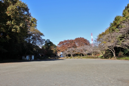 芹ヶ谷公園中央広場全体写真