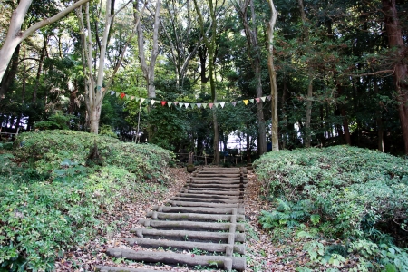 芹ヶ谷公園北側広場