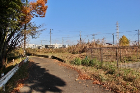 芹ヶ谷公園中央広場より北方向へ昇ったあたり