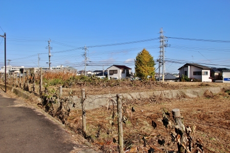 多摩モノレール芹ヶ谷公園および芝生広場中央付近