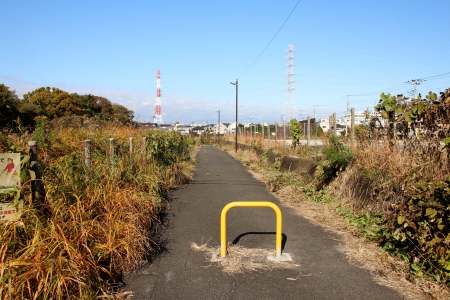 この付近もゆくゆくは芹ヶ谷公園整備計画に則り駐車場区画となる。