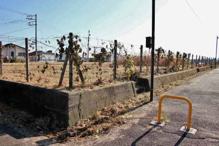 多摩モノレール芹ヶ谷公園駅予定位置および都営跡地内に広がる遊歩道