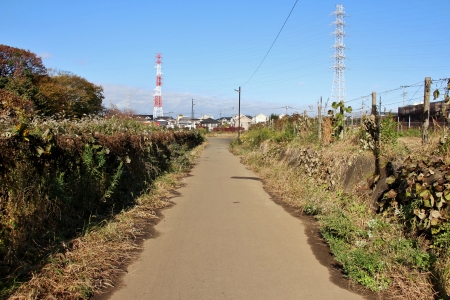 多摩モノレール芹ヶ谷公園駅となる都営跡地内の遊歩道