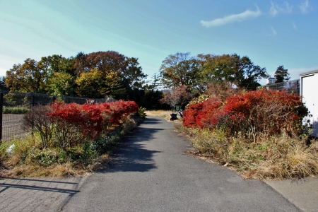 多摩モノレール芹ヶ谷公園駅予定位置公園AB内を通過する遊歩道