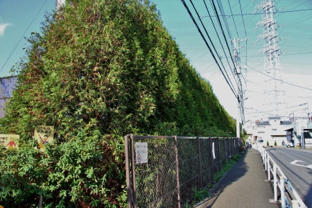 モノレール延伸ルート上における芹ヶ谷公園駅北面