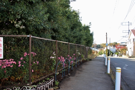 多摩モノレール延伸ルート上における芹ヶ谷公園駅設置想定位置西面