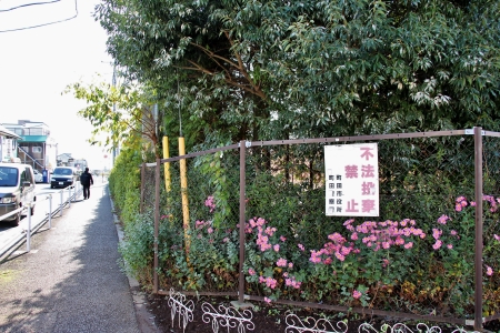 多摩都市モノレール芹ヶ谷公園設置想定位置北側