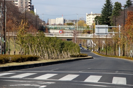 多摩モノレール町田延伸ルートは町田3・3・36号と桜美林学園方向を目指す