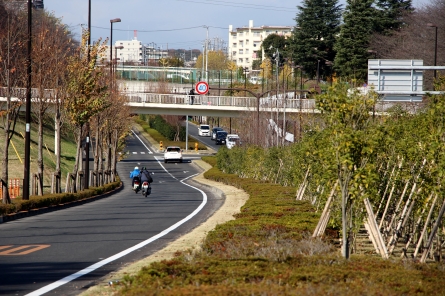 モノレール延伸用中央分離帯より3・3・36号多摩センター側を見る