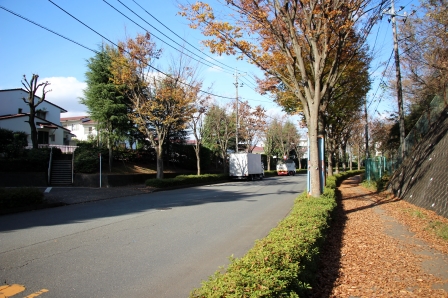 トンネルの反対側の町田3・4・20号線の様子