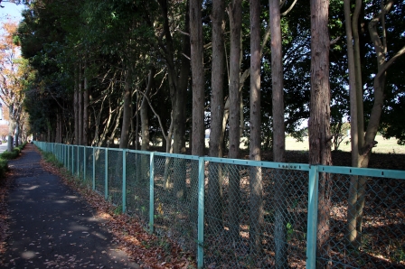 小山田桜台車両基地用地と噂される空き地を歩道より撮影