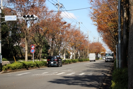 小山田緑地へと続く道路