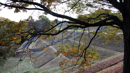 小山田桜台車両基地用地斜面