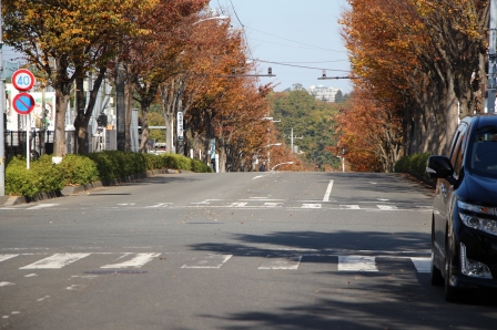 ここもモノレールの延伸ルートとなるか