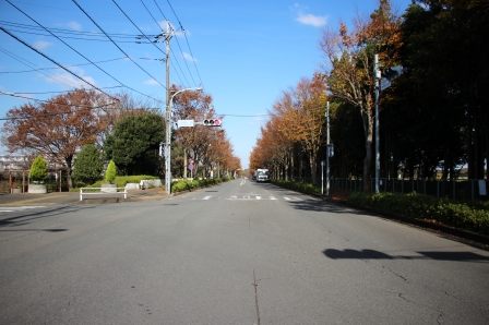 多摩モノレール延伸ルートである町田3・4・20号線の外観