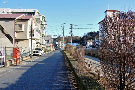 遊歩道に沿って向ヶ丘遊園モノレール廃線跡を歩く