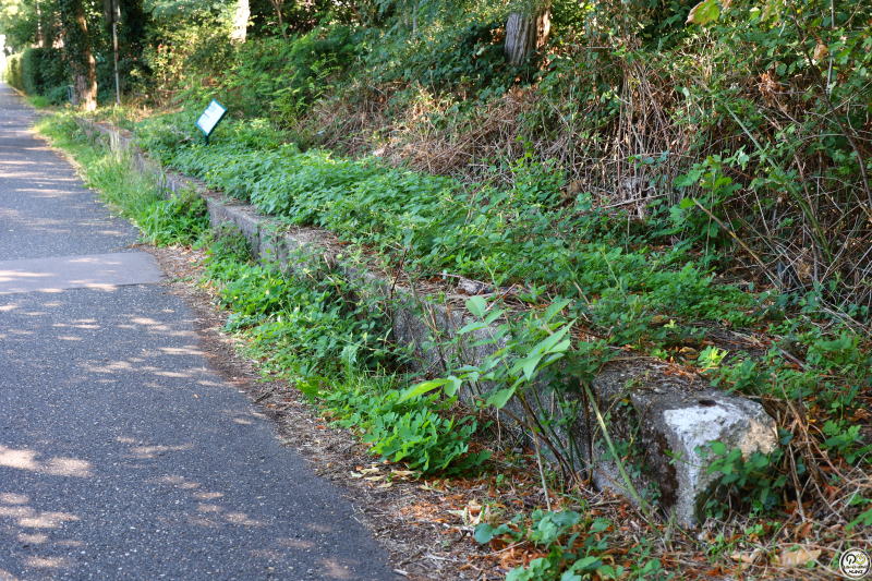 ケルン・フューリンゲン試験場跡地に残るモニュメントと遺構の一部 撮影 田村拓丸(MJWS) ケルン・フューリンゲン試験場跡地に残るモニュメントと遺構の一部(田村拓丸撮影分)